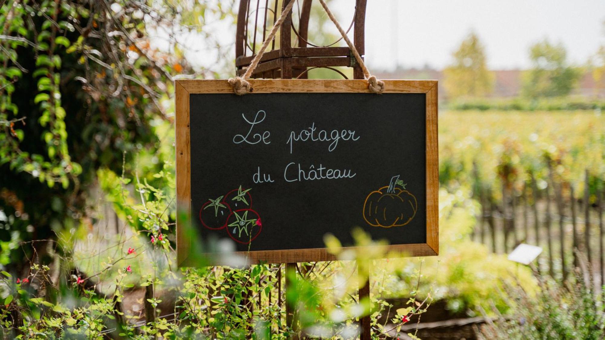 פסאק Chateau Pape Clement מראה חיצוני תמונה