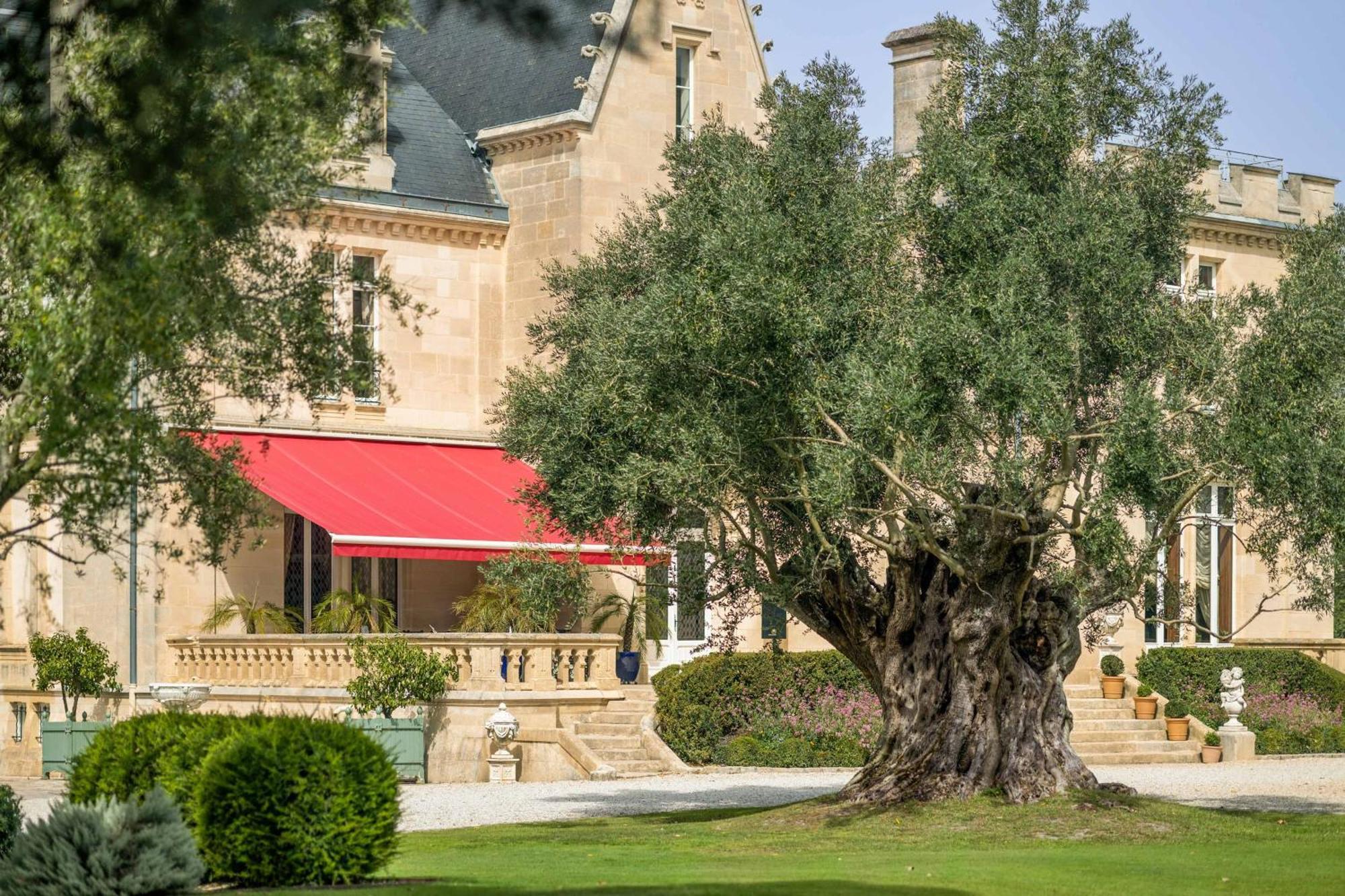 פסאק Chateau Pape Clement מראה חיצוני תמונה
