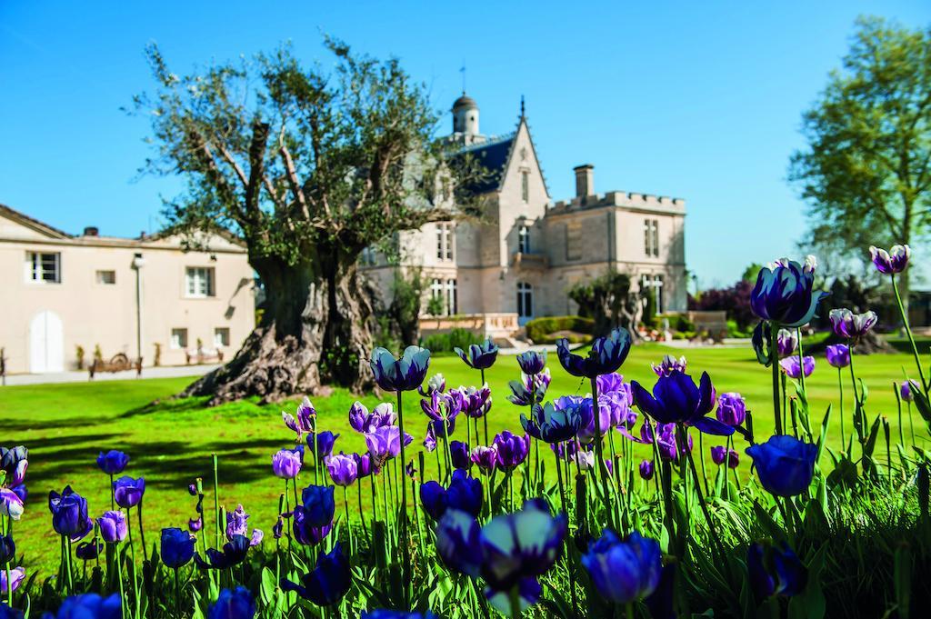 פסאק Chateau Pape Clement מראה חיצוני תמונה